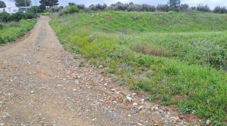 Malaga - Cártama - 6000m2