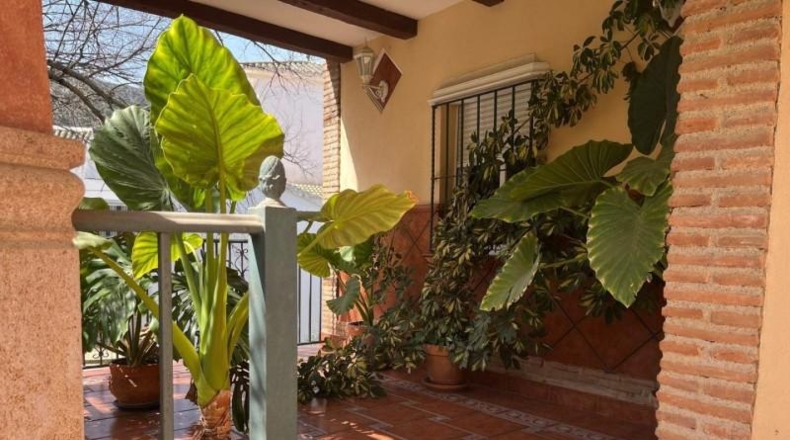 Córdoba - Almedinilla - 3000m2