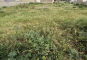 Land suitable for development for sale on España, Arcos de la Frontera, ref: TR402117 photo