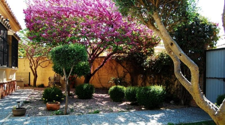 Кадис - Chiclana de la Frontera - 497m2
