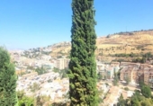 Xalet independent amb terreny en venda a la España, Granada, ref.: TR402148 foto