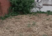 Sòl urbà en venda a la Calle Cuatro Calles, Novés, ref.: TR106161 foto