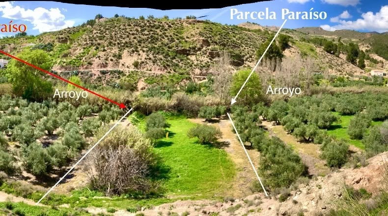 Jaén - Hinojares - 1800m2