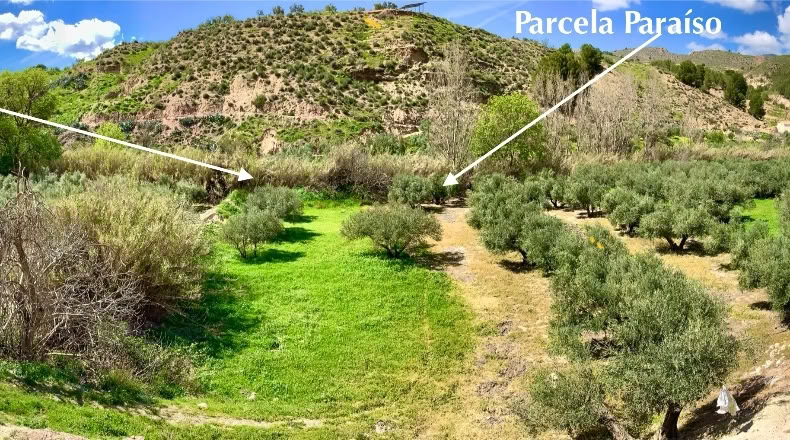 Jaén - Pozo Alcón - 1800m2