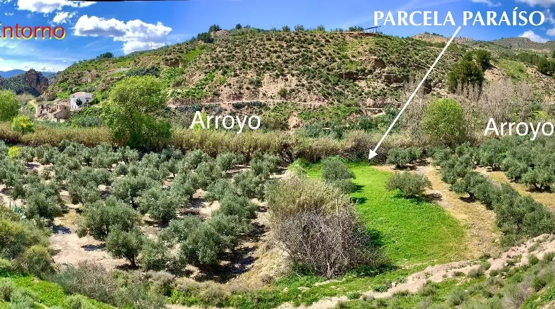 Jaén - Уэса - 1800m2