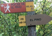 Finca rústica en venta en la España, Vega de Pas, ref: TR402163 foto