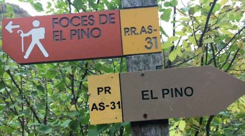 Cantabria - Vega de Pas - 15513m2