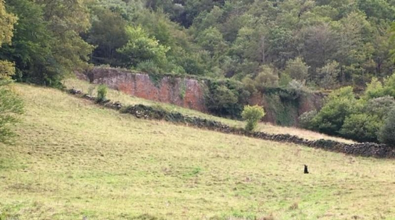 Cantabria - Vega de Pas - 15513m2