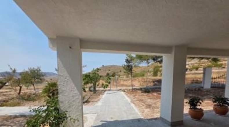 Alicante - Dolores - 1450m2