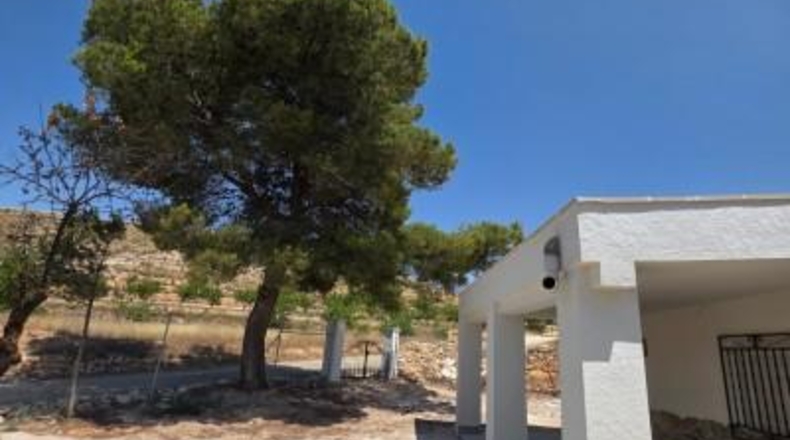Alicante - Dolores - 1450m2