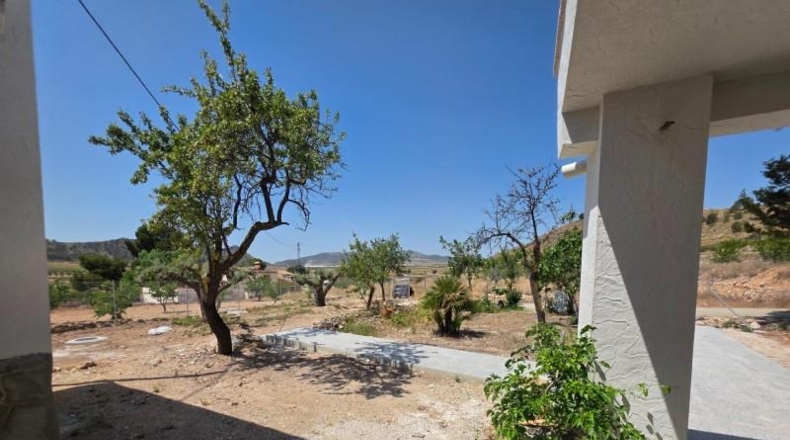 Alicante - Dolores - 1450m2