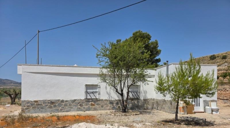 Alicante - Dolores - 1450m2