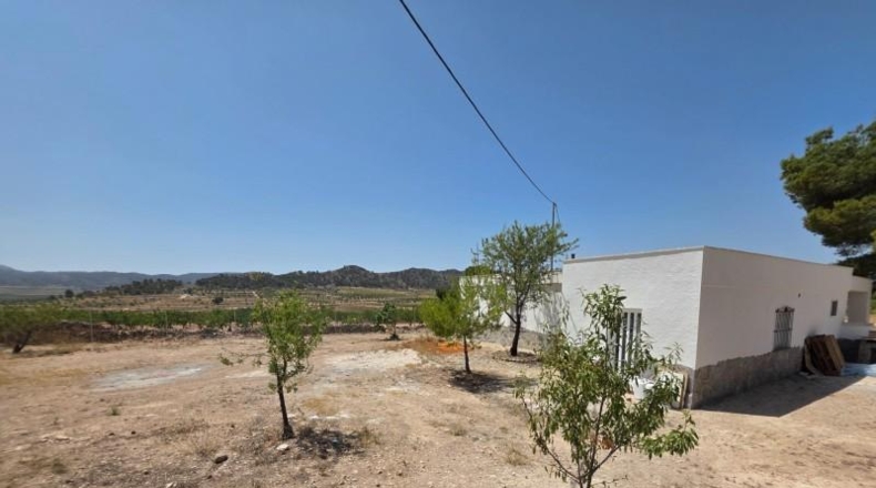 Alicante - Dolores - 1450m2