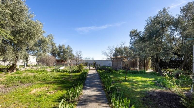 Granada - Atarfe - 2500m2