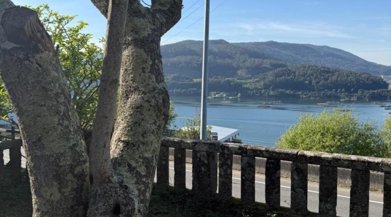 Pontevedra - Redondela - 5511m2