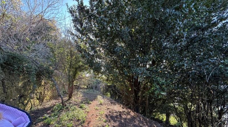 Pontevedra - Redondela - 5511m2