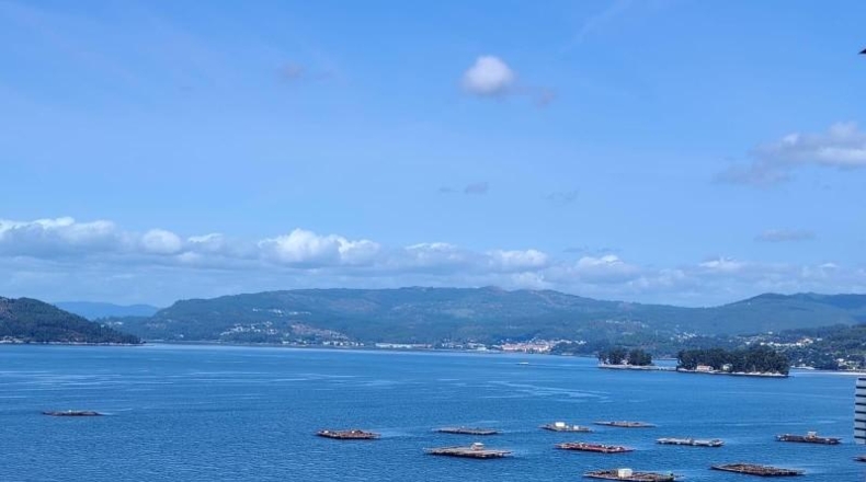Pontevedra - Redondela - 5511m2