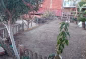 Land suitable for development for sale on Flors 27, Tiana, ref: TR402176 photo