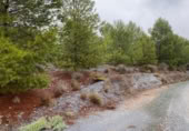 Terreno no urbanizable en venta en la autovia a91 km.1, Lorca, ref: TR402177 foto