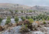 Terreno no urbanizable en venta en la autovia a91 km.1, Lorca, ref: TR402177 foto