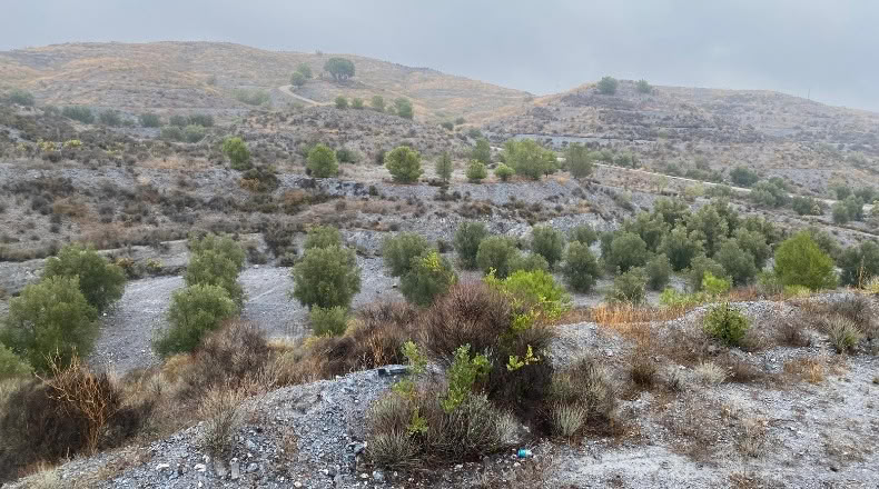 Múrcia - Lorca - 54210m2
