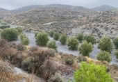 Terreno no urbanizable en venta en la autovia a91 km.1, Lorca, ref: TR402177 foto