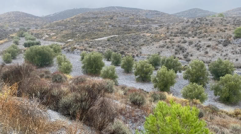 Múrcia - Lorca - 54210m2