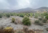 Terreno no urbanizable en venta en la autovia a91 km.1, Lorca, ref: TR402177 foto