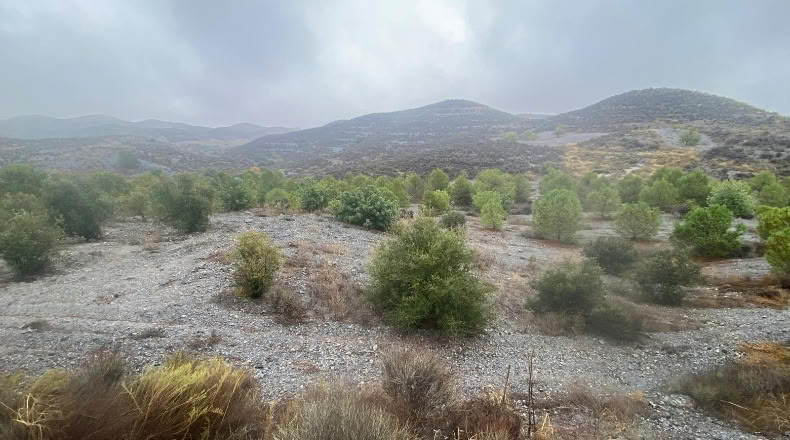 Múrcia - Lorca - 54210m2