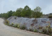 Terreno no urbanizable en venta en la autovia a91 km.1, Lorca, ref: TR402177 foto