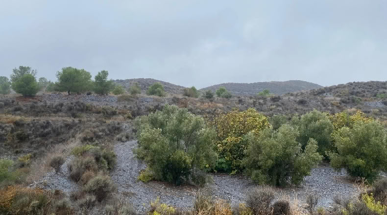 Múrcia - Lorca - 54210m2