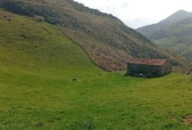 Las Estacas 16600&nbsp;m² 
