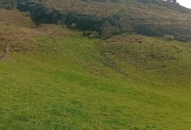 Las Estacas 16600&nbsp;m² 