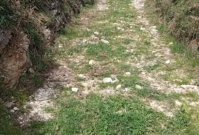 Las Estacas 16600&nbsp;m² 