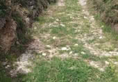 Terreno en venta en Las Estacas ref: TR402183 foto