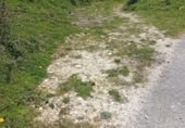 Terreno en venta en Las Estacas ref: TR402183 foto