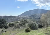 Parcela urbanizable en venta en la Avenida del Tajo, El Tiemblo, ref: TR402179 foto