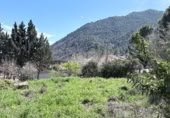 Parcela urbanizable en venta en la Avenida del Tajo, El Tiemblo, ref: TR402179 foto