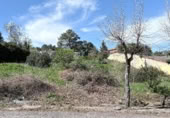 Parcela urbanizable en venta en la Avenida del Tajo, El Tiemblo, ref: TR402179 foto