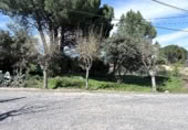 Parcela urbanizable en venta en la Avenida del Tajo, El Tiemblo, ref: TR402179 foto