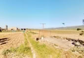 Chalet independiente con terreno en venta en la Lligallo de Sant Jaume, Ulldecona, ref: TR402182 foto