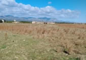 Chalet independiente con terreno en venta en la Lligallo de Sant Jaume, Ulldecona, ref: TR402182 foto
