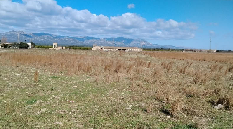 Tarragona - Ulldecona - 39000m2