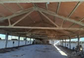 Chalet independiente con terreno en venta en la Lligallo de Sant Jaume, Ulldecona, ref: TR402182 foto