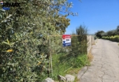 Terreno no urbanizable en venta en la España, Sierra de Fuentes, ref: TR402188 foto