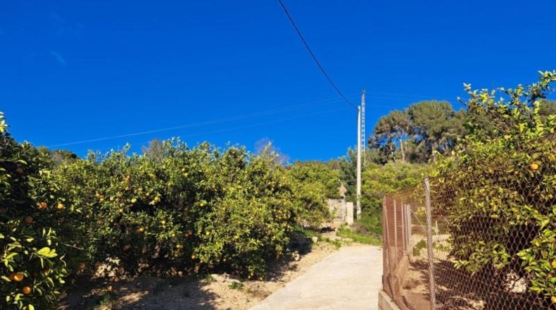 Valencia - Alcira - 3328m2