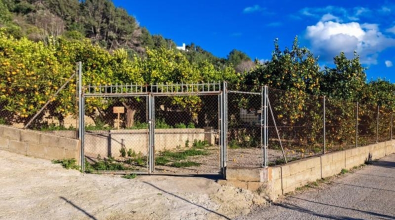 Valencia - Alcira - 3328m2
