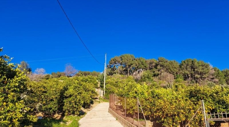 Valencia - Alcira - 3328m2