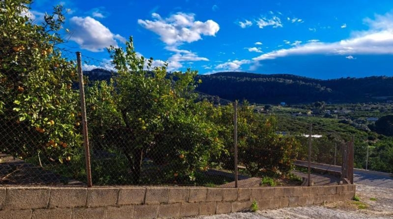 Valencia - Alcira - 3328m2