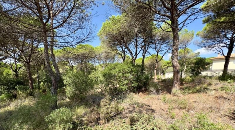 Gerona - Vidreres - 942m2